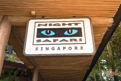 night safari singapore
