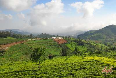 Bangalore Mysore Ooty Package for Couples