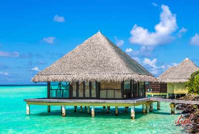 taj exotica at maldives island