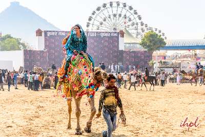 Pushkar Fair Tour,Rajasthan