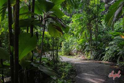 Scenic Seychelles Tour
