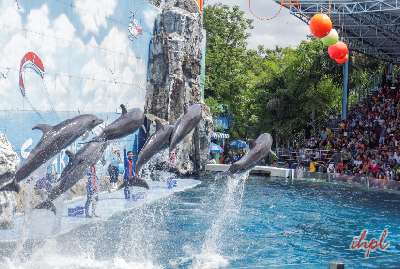 6 Days Thailand Tour Package