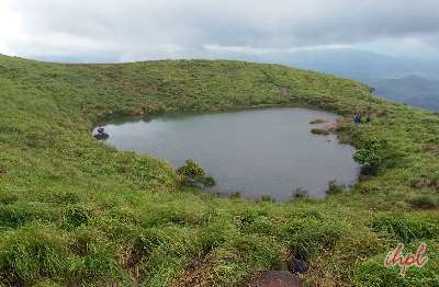 Wayanad Vythri Treehouse Tour