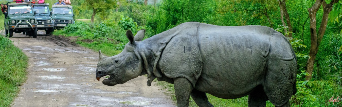 Guwahati - Kaziranga - Shillong - Cherrapunjee - Mawlynnong - Guwahati