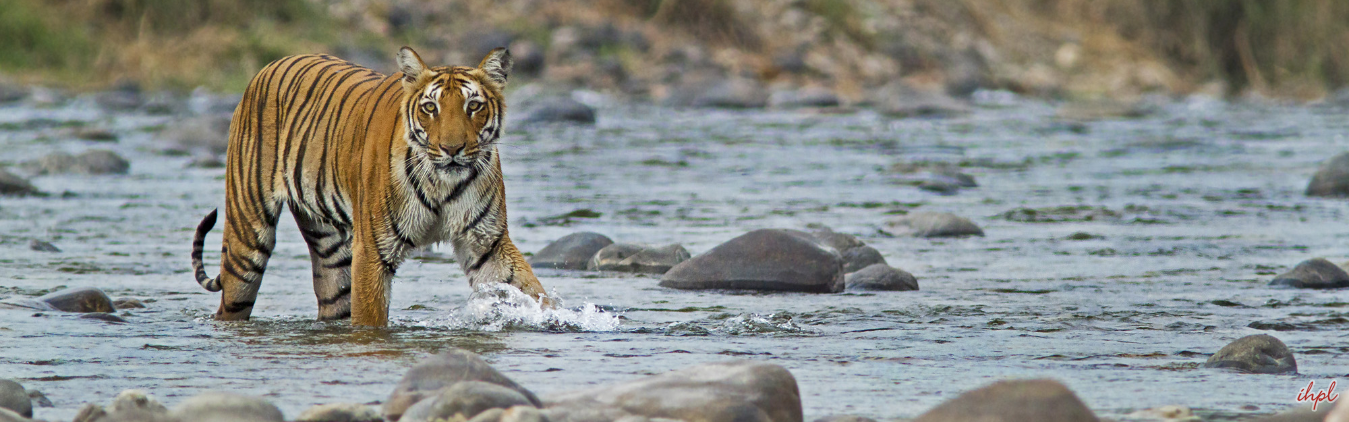 Delhi - Nainital - Mukteshwar - Corbett - Delhi