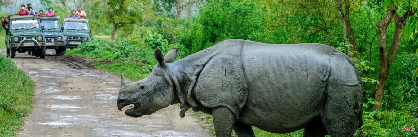 Guwahati - Shillong - Cherrapunji - Kaziranga - Majuli - Jorhat - Kohima - Dimapur