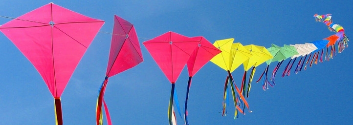 Kite Flying Festival, festival in delhi