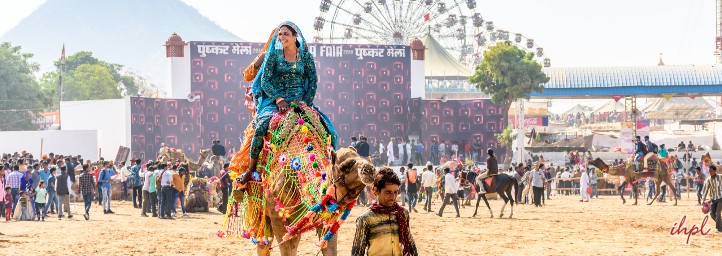festival in alwar rajasthan