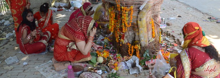 Vat Savitri Puja Bihar 2022 | Festivals in Bihar