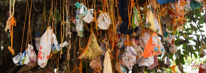 Vat Savitri Puja Bihar 2023 | Festivals in Bihar