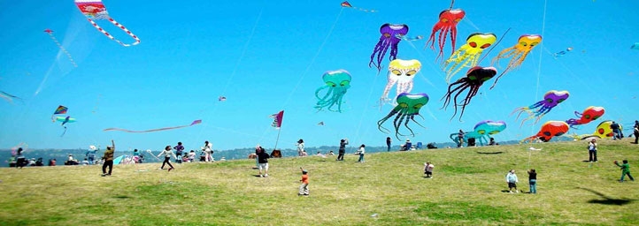 international kite festival jaipur, rajasthan