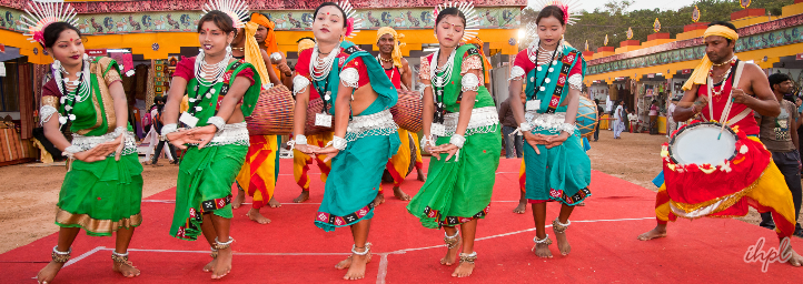 Orissa Tribal Festival, orissa