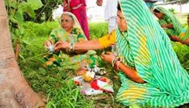 Hariyali Kora Navakhani & Cherta Festival 