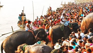 Sonpur Mela 2023 | Sonpur Festival Bihar 2023