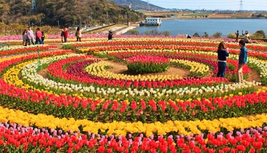 Tulip Festival in Srinagar 2022 | Festivals in Srinagar