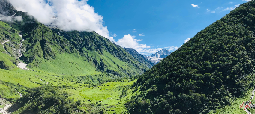 Valley Of Flowers in Uttarakhand