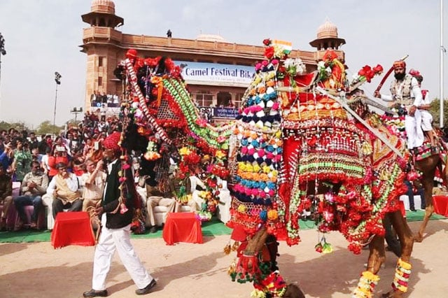 Camel Festival in Bikaner