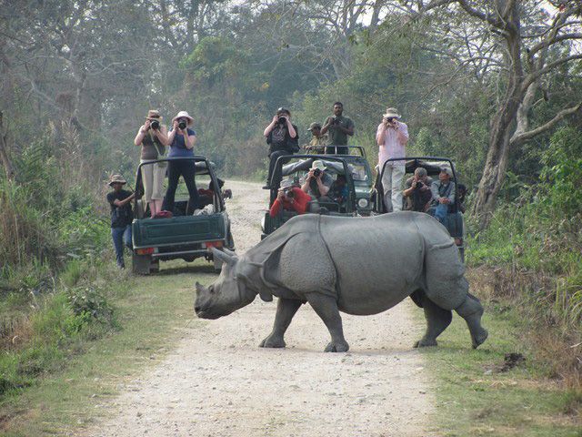 Kaziranga National Park