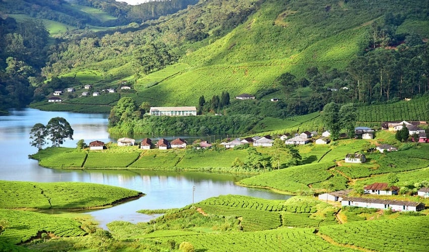 Munnar-Kerala