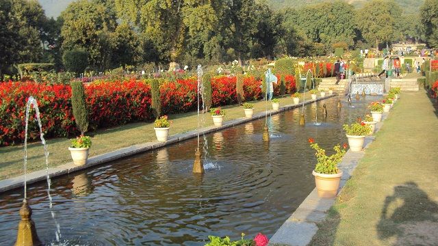 Shalimar Bagh, Srinagar