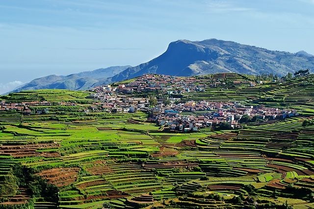 Terraced Farming, Kodaikanal