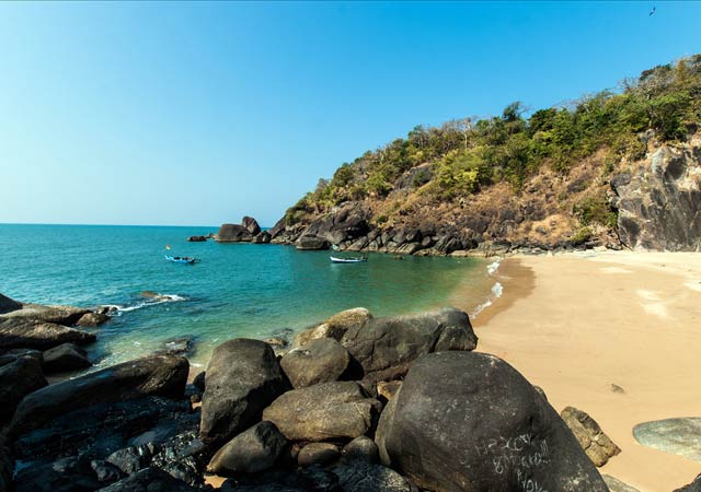 Best Goa Beaches: Butterfly Beach