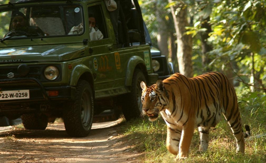 Pench Tiger Reserve
