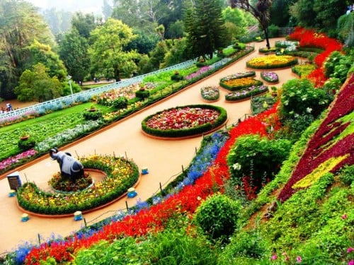 Botanical-Garden-ooty