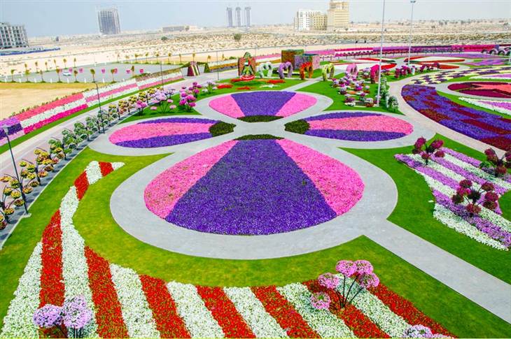Giant 'Miracle Garden