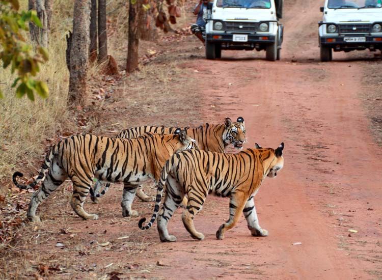 10 Best Places to visit in January in India with Family