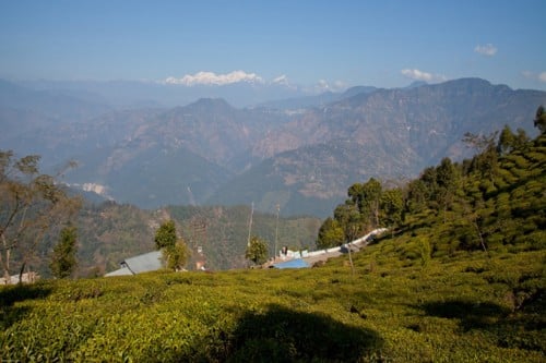 Darjeeling 