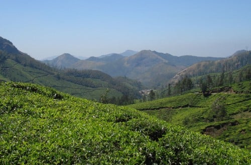 Munnar 