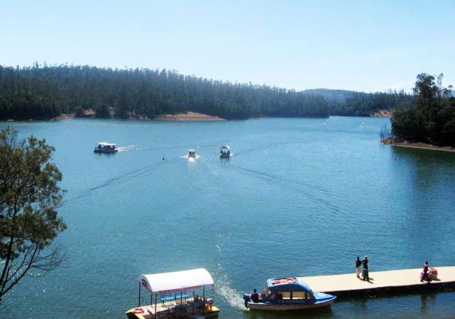 Ooty