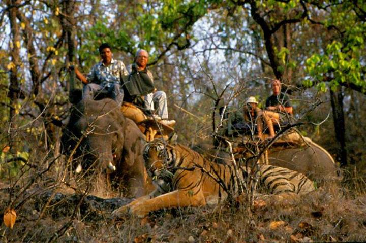 Bandhavgarh National Park