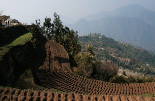 Uttaranchal 