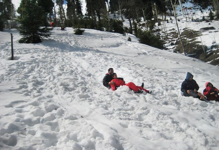 Shimla honeymoon tour