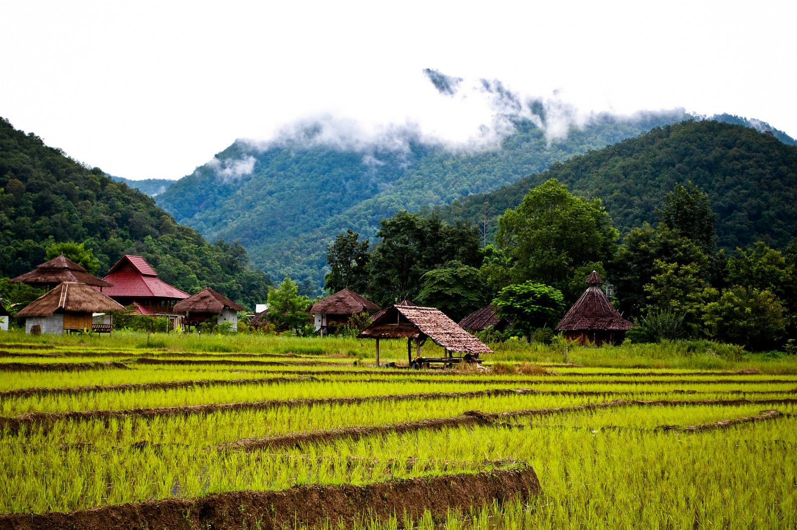 Best Places to visit in Thailand