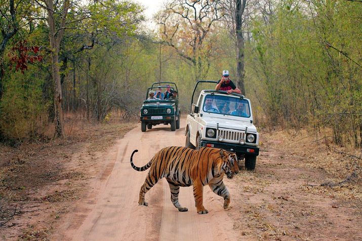 Ranthambore National Park