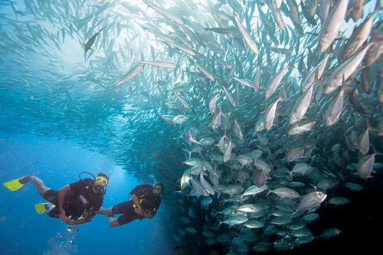 Scuba Diving, Andaman