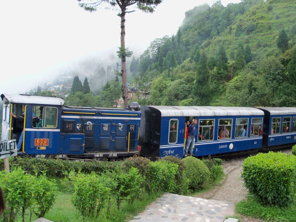 Toy Train in Darjeeling