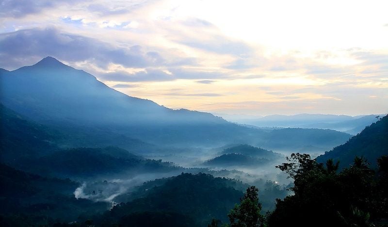 Munnar, Kerala