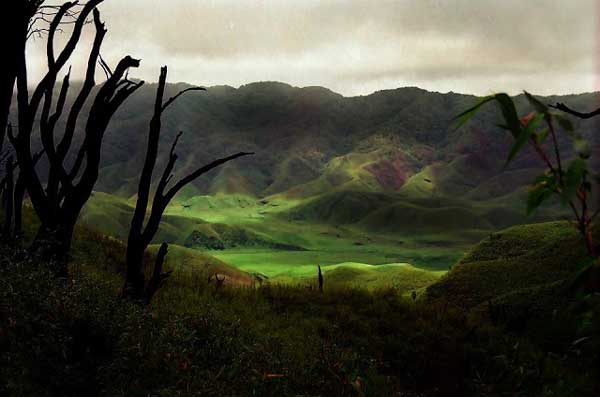 Japfu Peak and Dzukou Valley