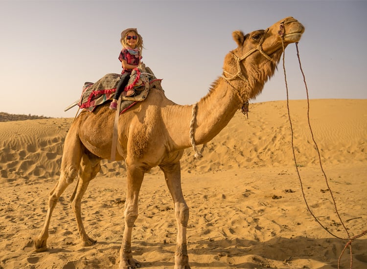 Camel Safari in Jaisalmer
