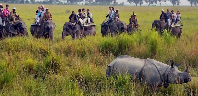 20 Top National Parks in India in 2026