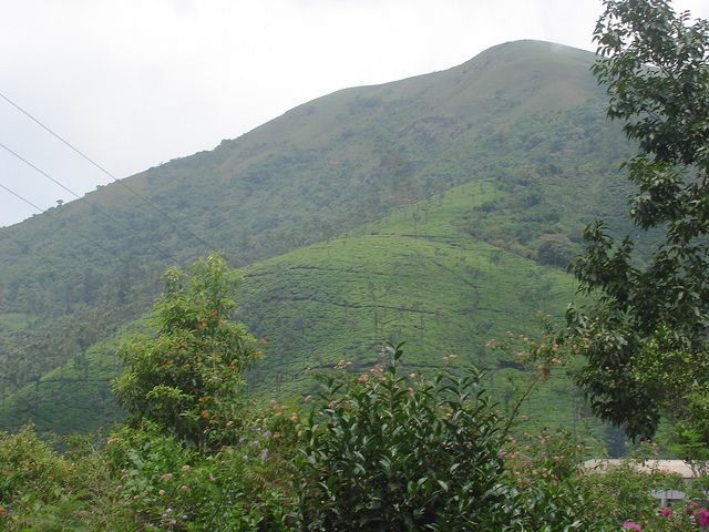 Visit Kelagur Tea Estate situated in Karnataka.