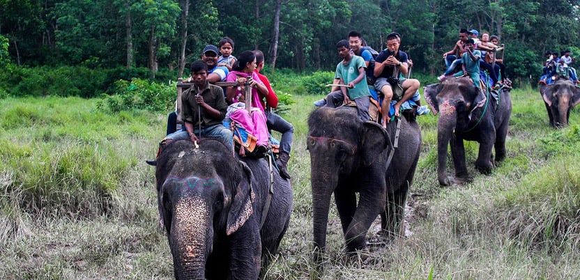 20 Top National Parks in India in 2026