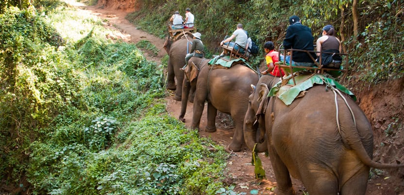 20 Top National Parks in India in 2026