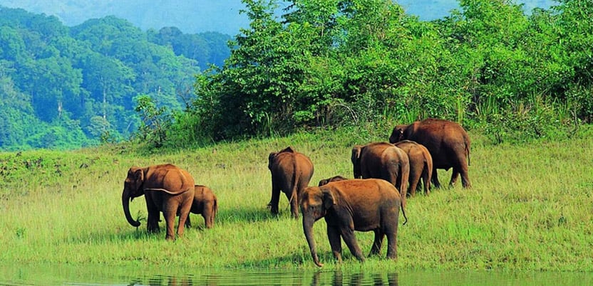 20 Top National Parks in India in 2026