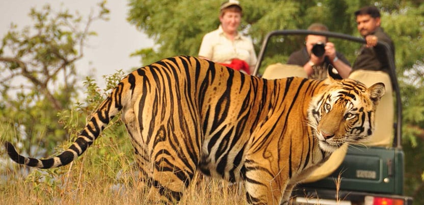 20 Top National Parks in India in 2026