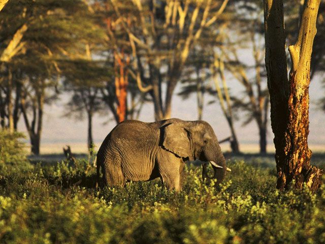 Gumti wildlife Sanctuary